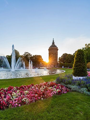 Friedrichsplatz in Mannheim bij zonsondergang