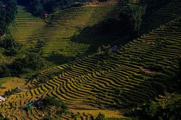 Sa Pa, Vietnam