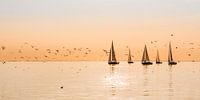 Een zomeravond op het IJsselmeer nabij Stavoren