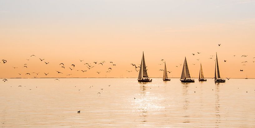 Een zomeravond op het IJsselmeer nabij Stavoren van Harrie Muis