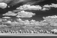 Paysage de Maasheggen avec nuages près de Boxmeer