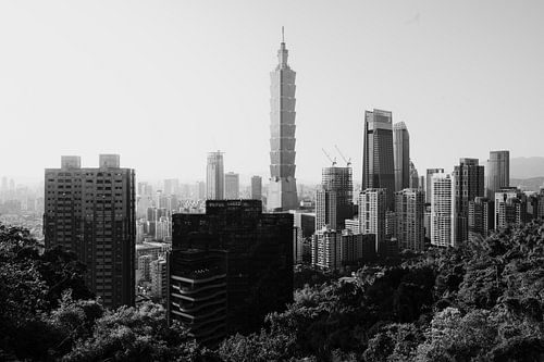 Uitzicht over Taipei: een monochroom stadslandschap met Taipei 101