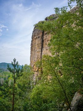 Sächsische Schweiz - Neuer Wildenstein