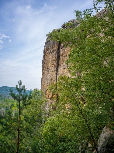 Saksisch Zwitserland - Neuer Wildenstein