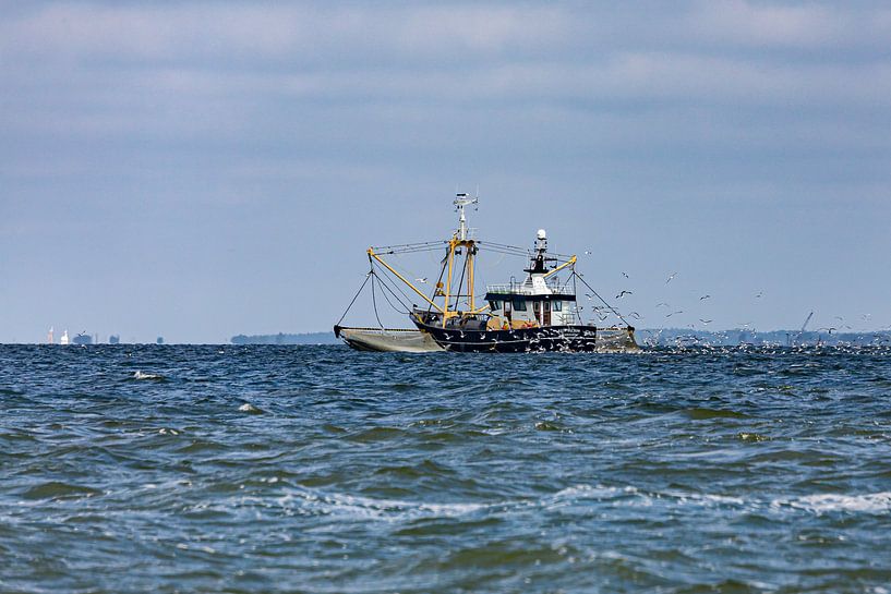 vissen op zee van Bert ten Brink