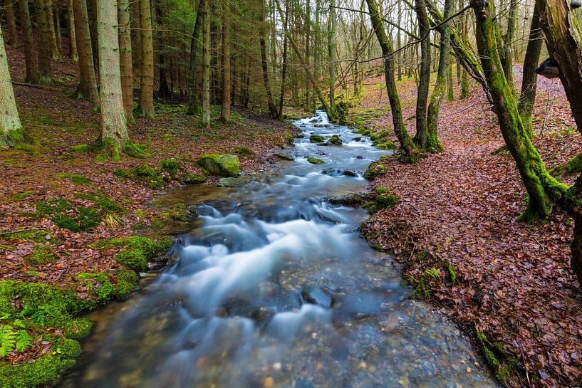 Bach in einem märchenhaften Wald in der Eifel. von Gottfried Carls