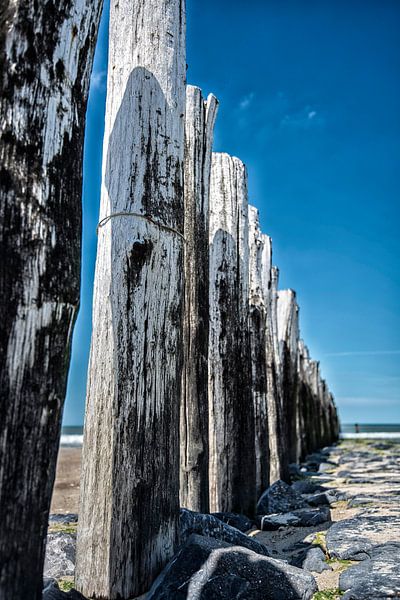 Mer et bleu par Roland de Zeeuw