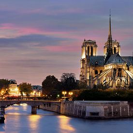 Notre Dame à Paris sur Edwin van Wijk