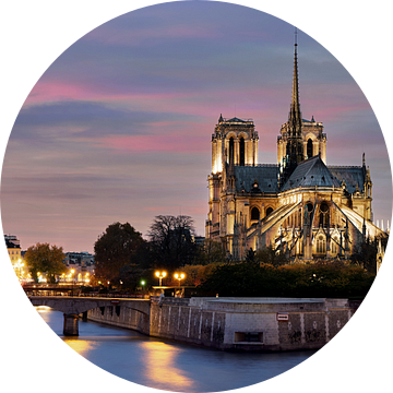 Notre Dame in Parijs van Edwin van Wijk