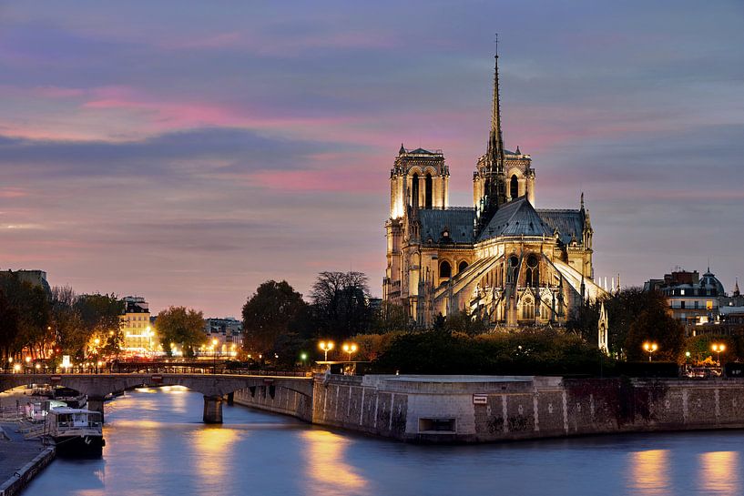 Notre Dame in Paris by Edwin van Wijk