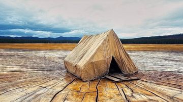 Tent op verdroogde grond in een dor landschap van Frank Heinz