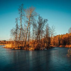 Sonnenaufgang an einer Teichlandschaft von Tobias Reißbach