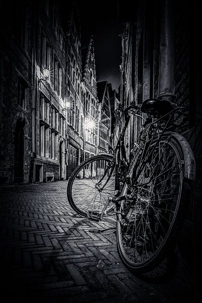 De Fiets  van Alain Deroef