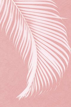 Palmbladeren op roze silhouet I van amini54