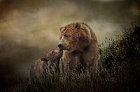 Loving Mother Grizzly Bear With Her Cub