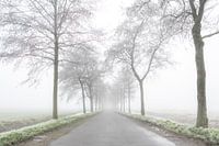 Road to nowhere