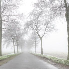 Road to nowhere by Robbert Ladan