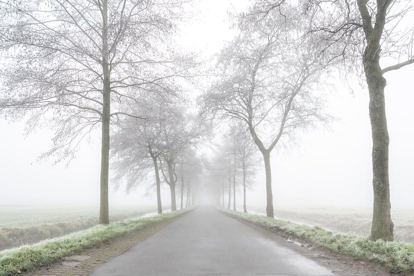 Road to nowhere von Robbert Ladan