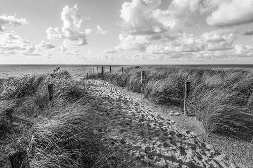 Strand, wind en zee in zwart wit