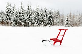 Stepsleigh in the snow by Theo Kamans