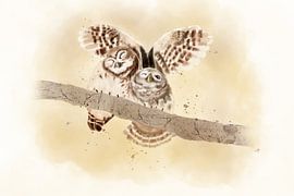2 cute owls on a branch by TribusDesign