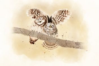 2 cute owls on a branch