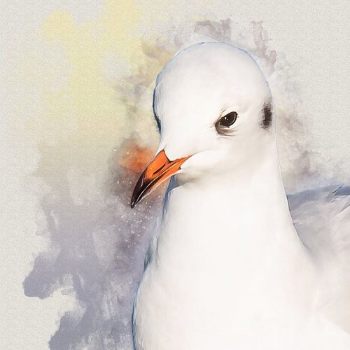 Portrait of a black-headed gull in winter dress (mixed media)