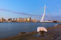 Erasmusbrug van de Wilhelminapier van Prachtig Rotterdam thumbnail