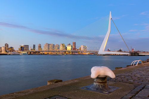 Erasmusbrug van de Wilhelminapier