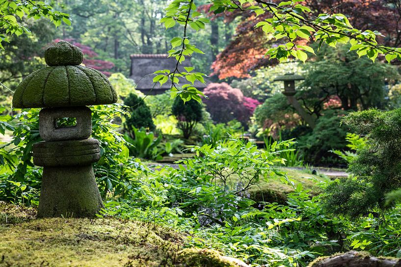 The Japanese garden... by Bert v.d. Kraats Fotografie
