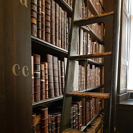 Bibliothek (Bibliothek des Trinity College) von Patricia Leidekker