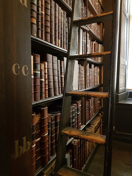 Bibliothèque (Bibliothèque du Trinity College) par Patricia Leidekker