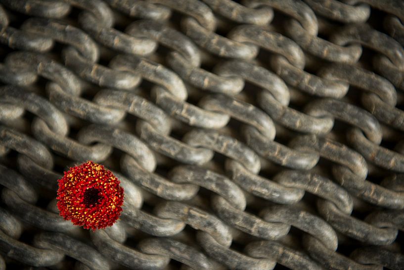 Read by Marja Riedstra