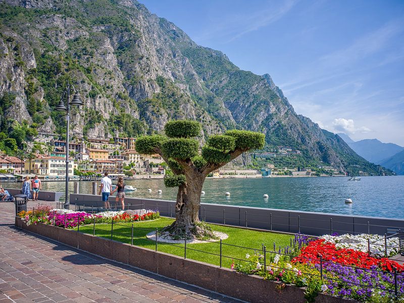 Lac de Garde - Limone sul Garda par t.ART