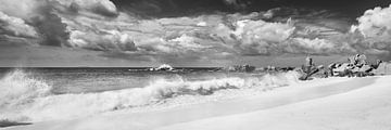 Mer turquoise sur une plage des Seychelles en noir et blanc sur Manfred Voss, Schwarz-weiss Fotografie