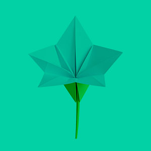 Origami - Minimalistische Lilie in Ton-sur-Ton aquablau/grün