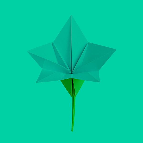 Origami - Minimalistische Lilie in Ton-sur-Ton aquablau/grün von STUDIO MINIMAL ART