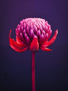 Flechtwerk Blume Porträt