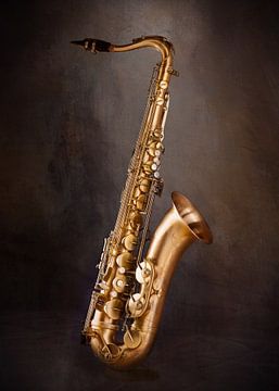 Saxofoon van Diana van Tankeren
