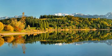 Allgäuer Alpen spiegeln sich im Forggensee im Herbst von Markus Lange