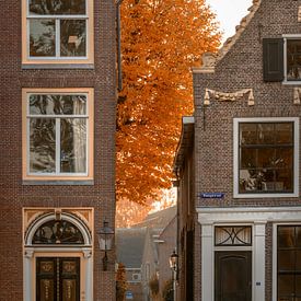Hoogstraat Weesp im Herbst von Joris van Kesteren