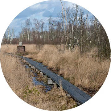 Grenspaal in natuurreservaat het Wooldse veen in Winterswijk van Tonko Oosterink