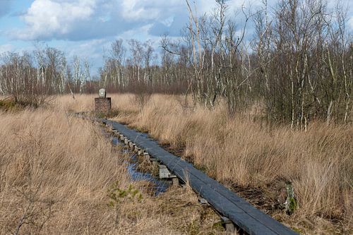 Grenspaal in natuurreservaat het Wooldse veen in Winterswijk