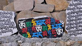 Veelkleurige Manisteïne