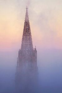 Cathédrale de Fribourg