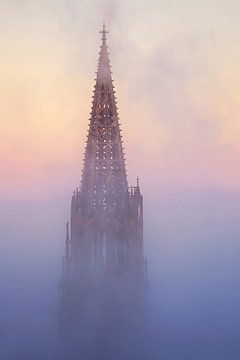 Münster Freiburg van Patrick Lohmüller