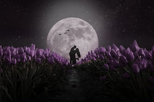 Bis zum Mond und zurück