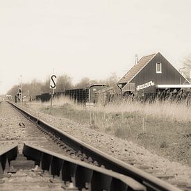 trein naar huis. van Jeroen Stegeman