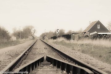 trein naar huis.