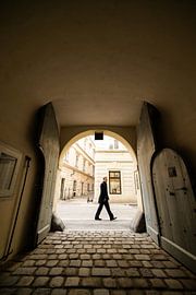 Middagwandeling in Wenen van Twan Thimister